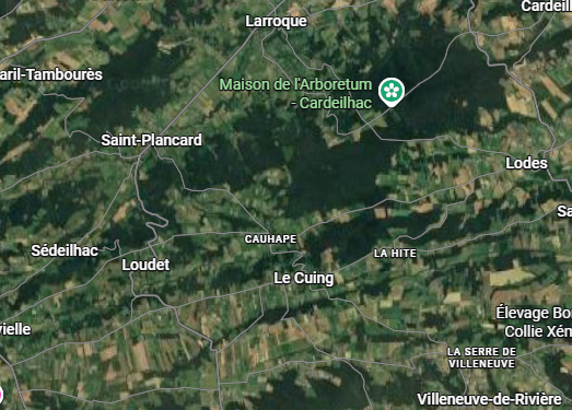 Carte de la zone Le Cuing 31210