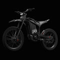 E Bike R1